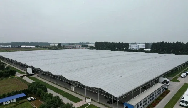 数字化转型中的技术更新，如何提升城市观光套餐体验