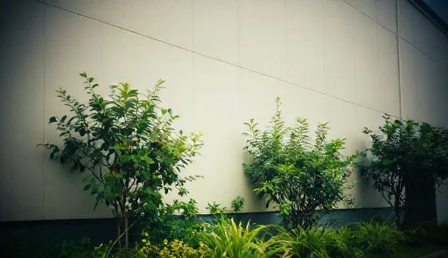 会议接待：技术更新对服务质量的影响分析